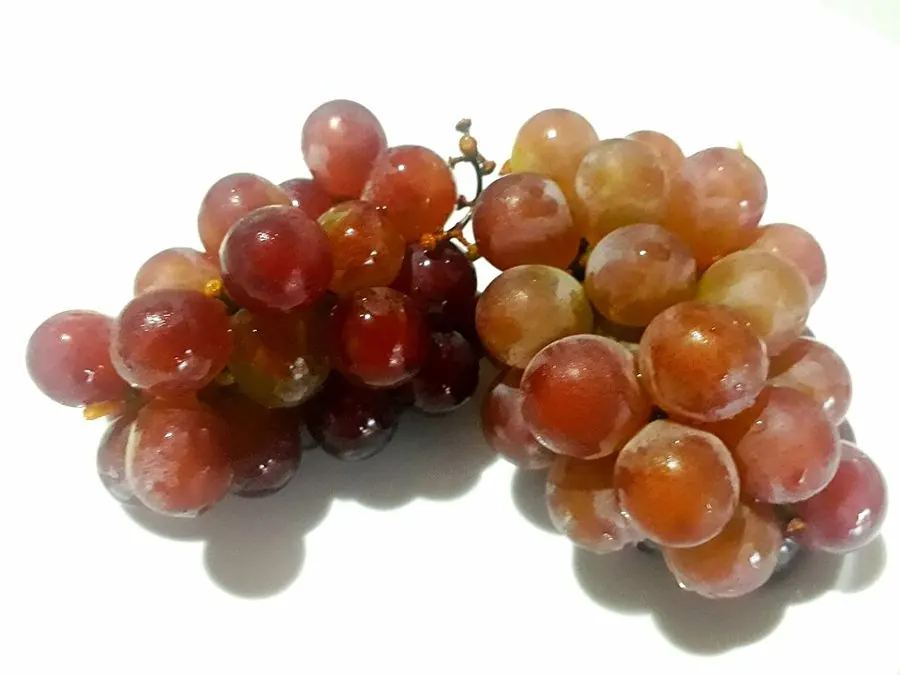 Cachos de uva Niágara Rosada, bagas redondas rosadas a avermelhadas, vendidas no Paraná